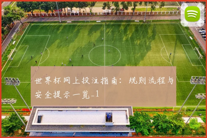 世界杯网上投注指南:规则流程与安全提示一览_1
