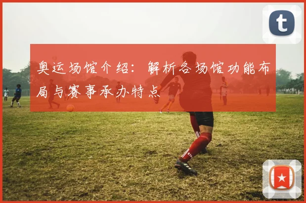 奥运场馆介绍：解析各场馆功能布局与赛事承办特点