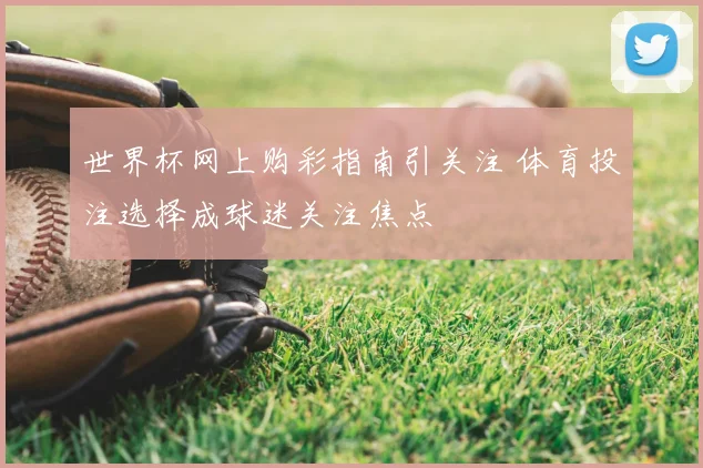 世界杯网上购彩指南引关注 体育投注选择成球迷关注焦点
