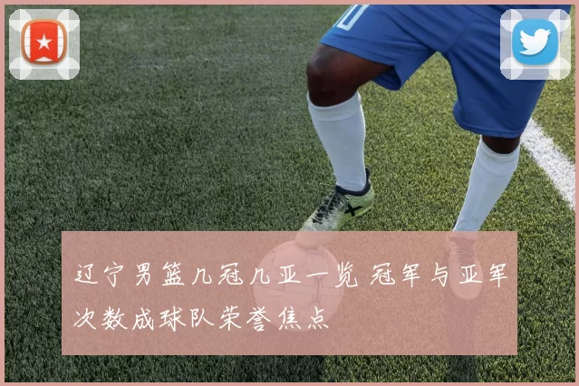 辽宁男篮几冠几亚一览 冠军与亚军次数成球队荣誉焦点